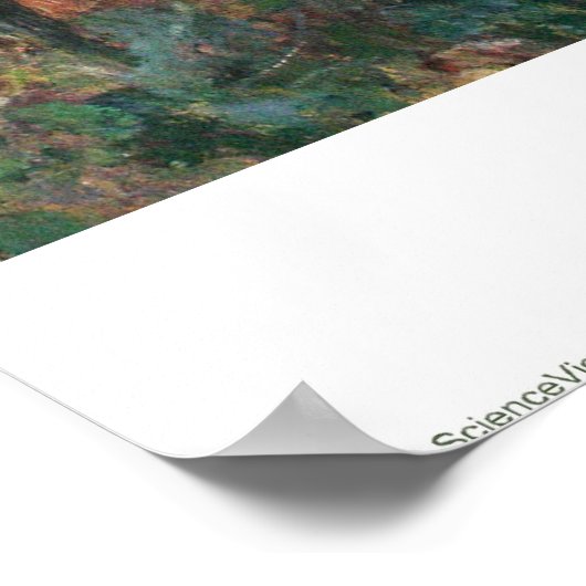 A Girl with a Watering Can ポスター (角)