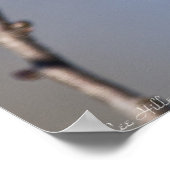 「A Glance」赤男性(鳥)ショウジョウコウカンチョウポスター ポスター (角)