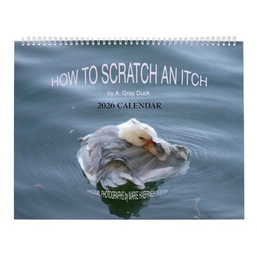 A. Gray Duckによる「HOW TO SCRATCH AN ITCH」2026 カレンダー (カバー)
