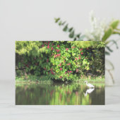  A Great Egret Fishing in the Swamp シーズンカード (スタンド正面)