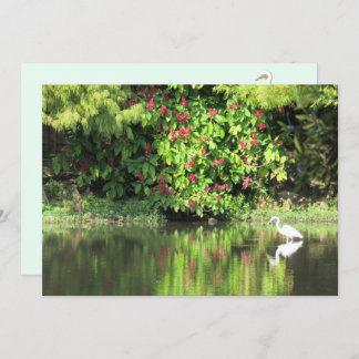  A Great Egret Fishing in the Swamp シーズンカード