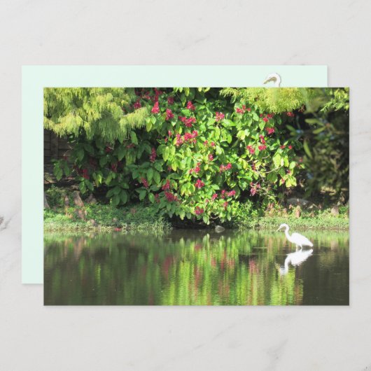  A Great Egret Fishing in the Swamp シーズンカード (正面/裏面)