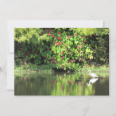  A Great Egret Fishing in the Swamp シーズンカード (正面)