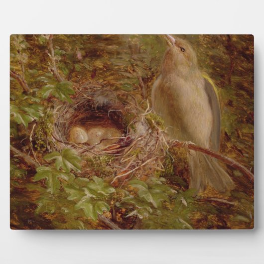 A Greenfinch at its Nest, 1877 (パネル上の油) フォトプラーク (正面)