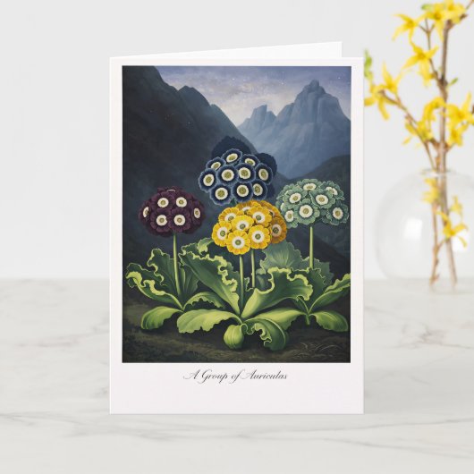 A Group of Auriculas — Modern Botanical Reinterpre カード (黄色い花)