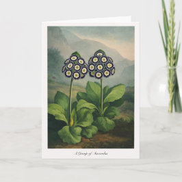 A Group of Auriculas — Modern Botanical Reinterpre カード
