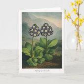 A Group of Auriculas — Modern Botanical Reinterpre カード (黄色い花)