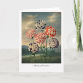 A Group of Carnations — Modern Botanical Reinterpr カード (正面)