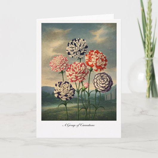 A Group of Carnations — Modern Botanical Reinterpr カード (正面)