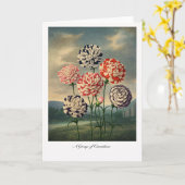 A Group of Carnations — Modern Botanical Reinterpr カード (黄色い花)