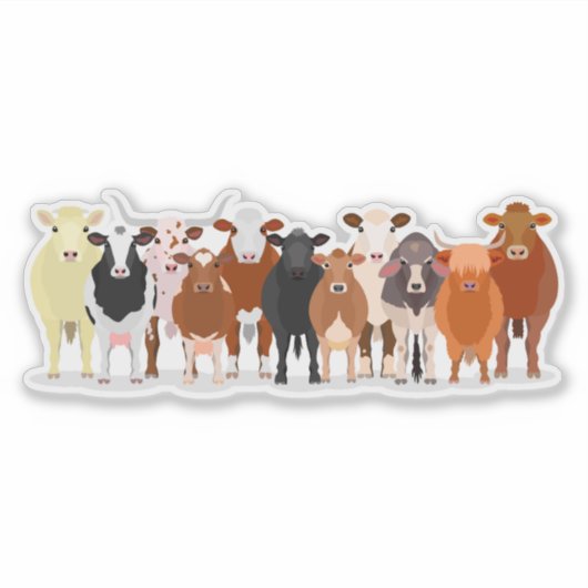a group of cow sticker シール (正面)