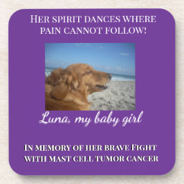 A Heart That Still Shines コースター