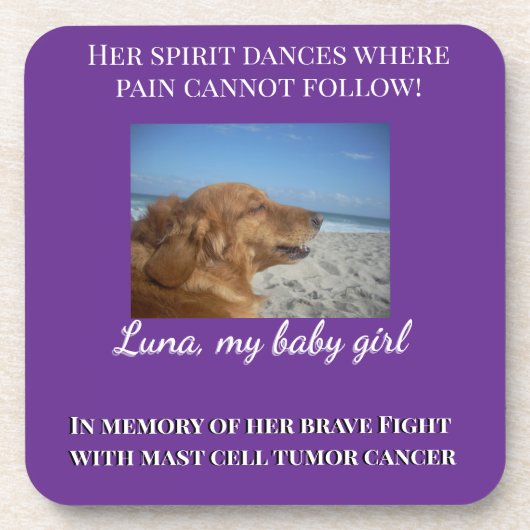 A Heart That Still Shines コースター (正面)