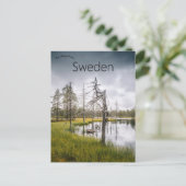 A Hidden Swamp Lake in Jämtland Sweden ポストカード (スタンド正面)