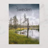 A Hidden Swamp Lake in Jämtland Sweden ポストカード (正面)