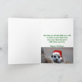 A Kalahari Wish - Seasons Greetings Card シーズンカード (内部)