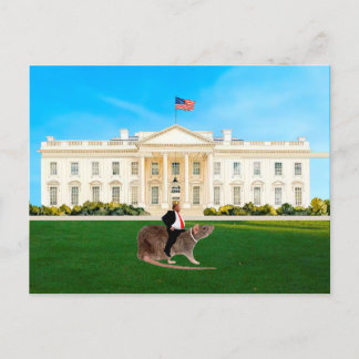 A Legend in His Own Mind Postcard ポストカード