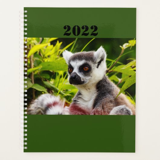 a lemur of Madagascar on planner プランナー手帳 (正面)