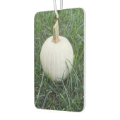 A Littie White Pumpkin カーエアーフレッシュナー (左)