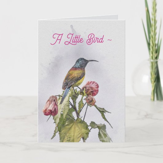 A LITTLE BIRD GET WELL CARD サンキューカード (正面)