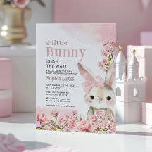 A Little Bunny is on the way Baby Shower
