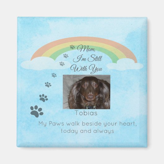 A Little Light Beyond the Rainbow マグネット (正面)