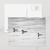 A Little Loony – ポストカード (正面/裏面)