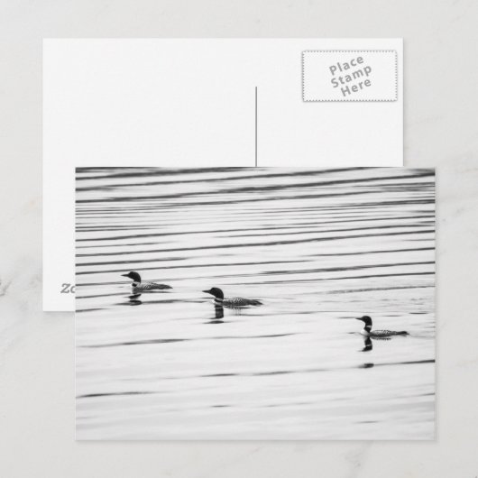 A Little Loony – ポストカード (正面/裏面)