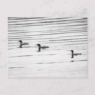 A Little Loony – ポストカード