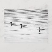 A Little Loony – ポストカード (正面)