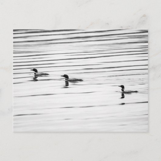 A Little Loony – ポストカード (正面)