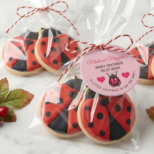 A Little Love Bug Is On The Way Ladybug フェイバータグ