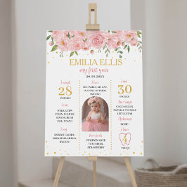 A Little Onederful 1st Birthday Milestoneサイン ポスター