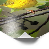 A Little Yellow Fellow フォトプリント (角)