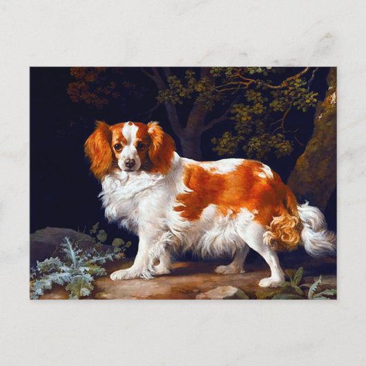 A Liver and White Charleスパニエル犬by George Stubs ポストカード (正面)
