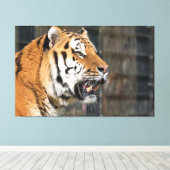 A look of a tiger キャンバスプリント (インサイチュ (ウッドフロア))