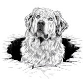 A lot of dog, a lot of love tシャツ