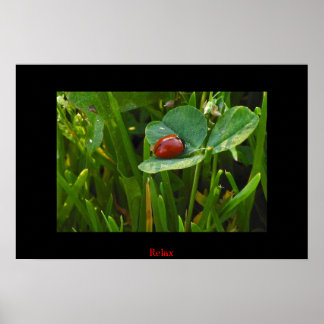 A Lucky St. Patricks Day ポスター