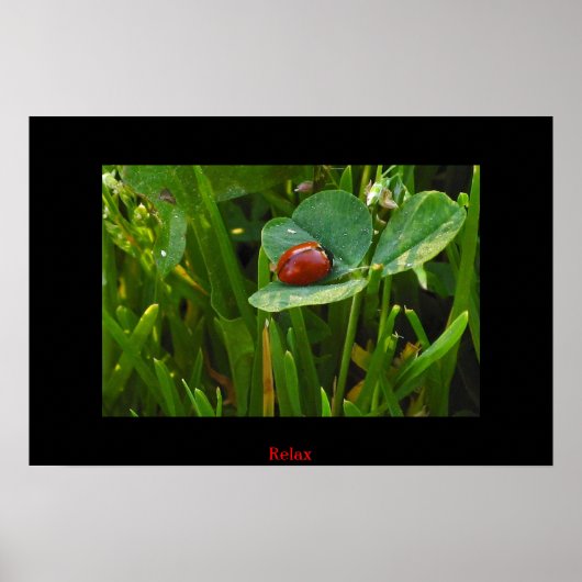 A Lucky St. Patricks Day ポスター (正面)