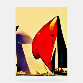 A magnific Poster for your living room, bedroom アクリルサイン