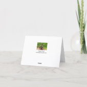 A Mallard Duck and her Duckling Greeting card カード (裏面)