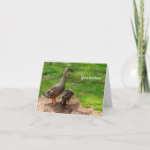 A Mallard Duck and her Duckling Greeting card カード (正面)