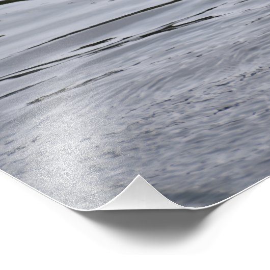 A Mallard duck flapping her wings. フォトプリント (角)