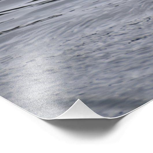 A Mallard duck flapping her wings フォトプリント (角)