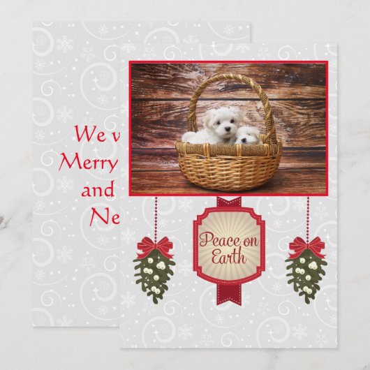 A Maltese Christmas シーズンカード (正面/裏面)