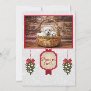 A Maltese Christmas シーズンカード