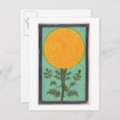 A Marigold, from the Small Clive Album (w/c on pap ポストカード (正面/裏面)