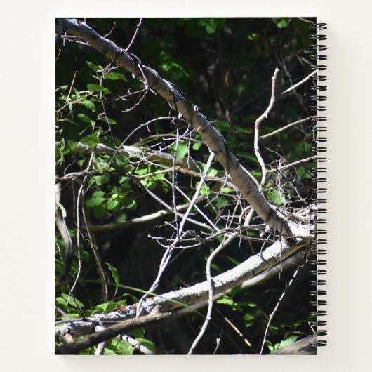 A moment of Light Spiral Notebook ノートブック (裏面)