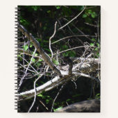 A moment of Light Spiral Notebook ノートブック (正面)