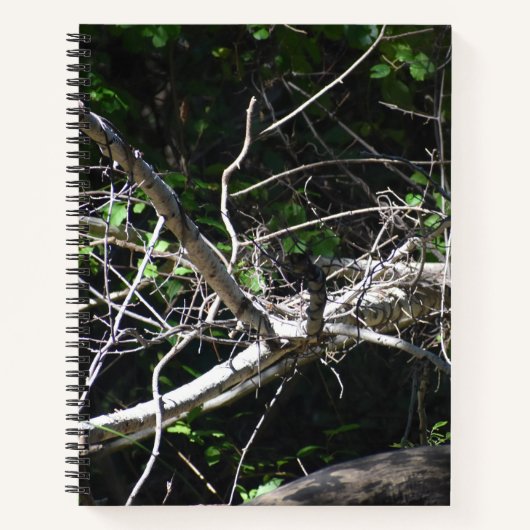 A moment of Light Spiral Notebook ノートブック (正面)